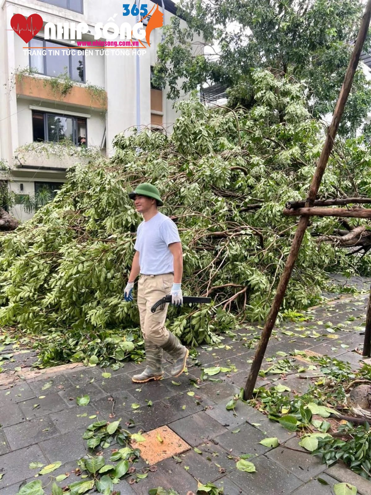 Ngay sau bão số 3, NSND Xuân Bắc cùng 2 con trai phụ giúp dọn dẹp cây ngã đổ trong khu phố.