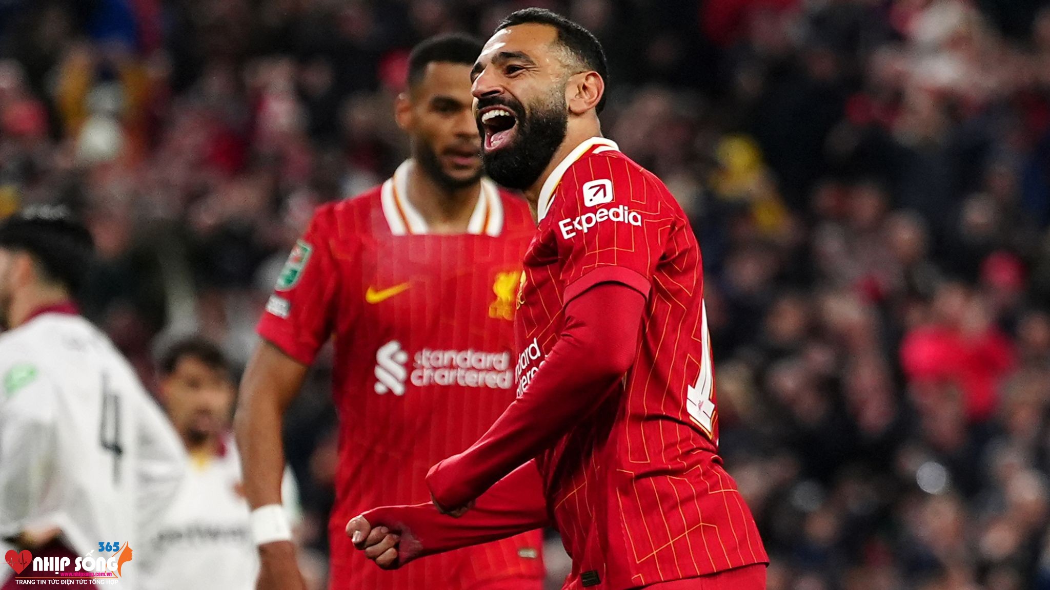 nhan dinh wolves vs liverpool 23h30 ngay 289 ha bay soi reu ra 2