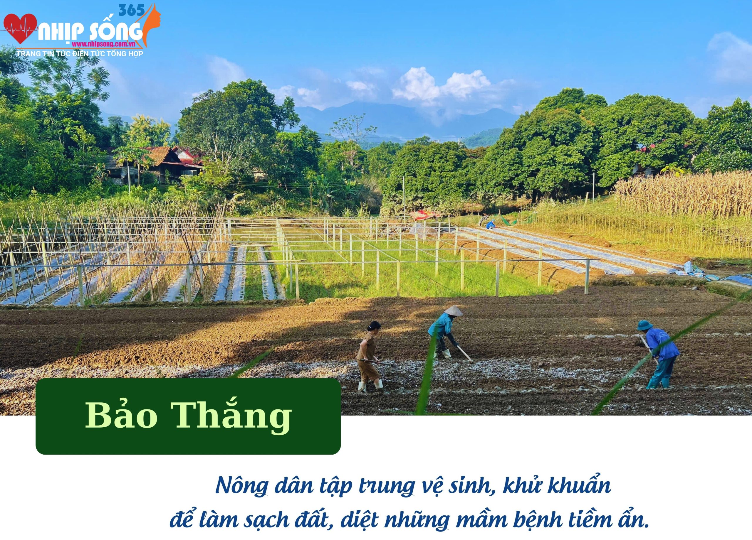 Nông dân tập trung,khử khuẩn.