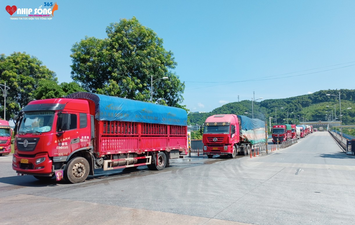 Phương tiện tham gia nhập khẩu hàng hoá qua Cửa khẩu Kim Thành.