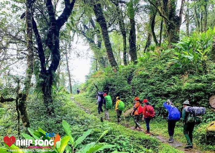 Du khách không thể bỏ qua trải nghiệm trekking trên cung đường Pavie tuyệt đẹp. Ảnh: vietrekking.