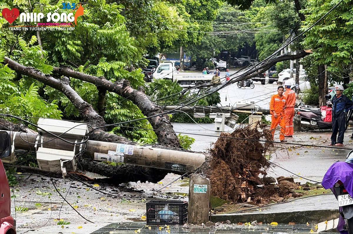 Nhiều công trình thủy lợi và cấp nước sinh hoạt