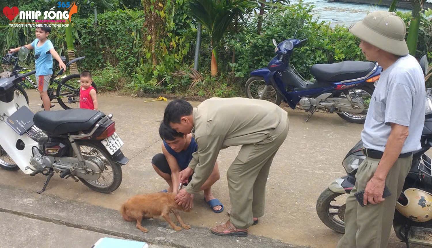 Các địa phương đẩy mạnh tiêm phòng vắc-xin bệnh dại cho đàn vật nuôi.