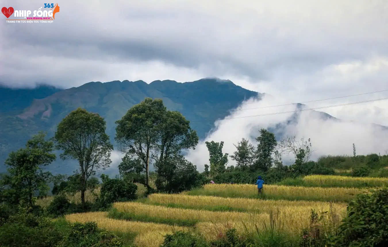 Mây sà xuống ruộng bậc thang