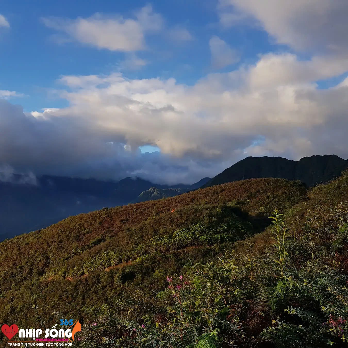 Khung cảnh từ trên Đồi Muối nhìn xuống.