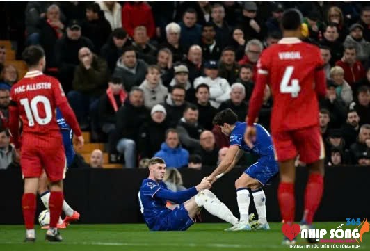 Chelsea để thua Liverpool cuối tuần trước