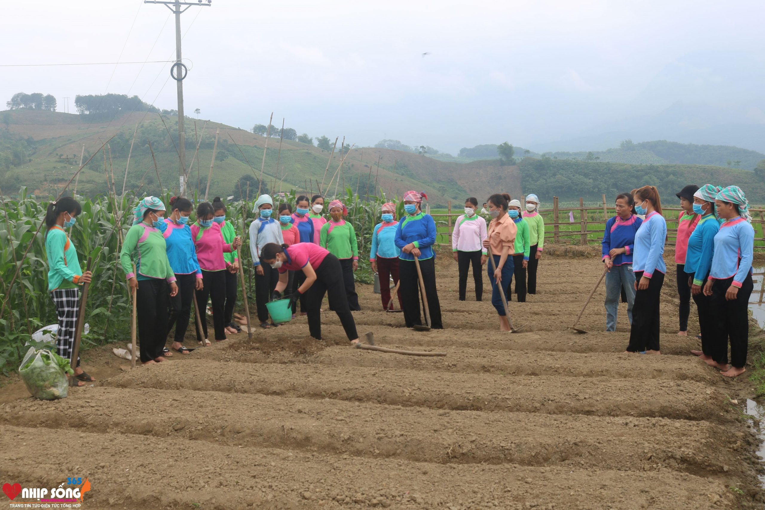 Hướng Tới Nền Kinh Tế Địa Phương Bền Vững