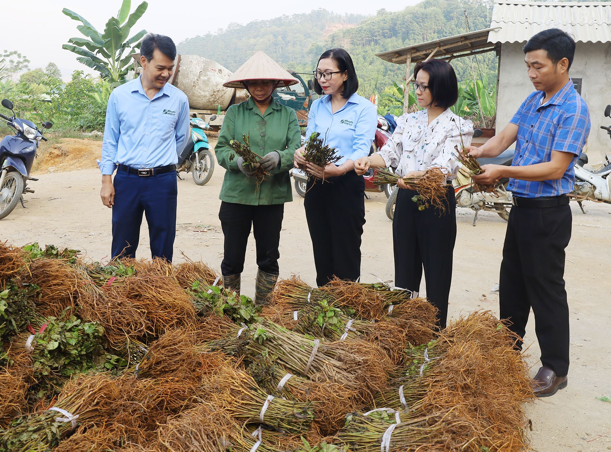 Trao tặng cây dâu giống cho Nhân dân huyện Bảo Yên khôi phục sản xuất sau bão số 3.