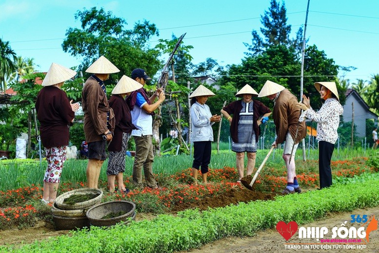 Du khach quoc te tham quan trai nghiem trong rau cung nong dan tai lang rau Tra Que 1