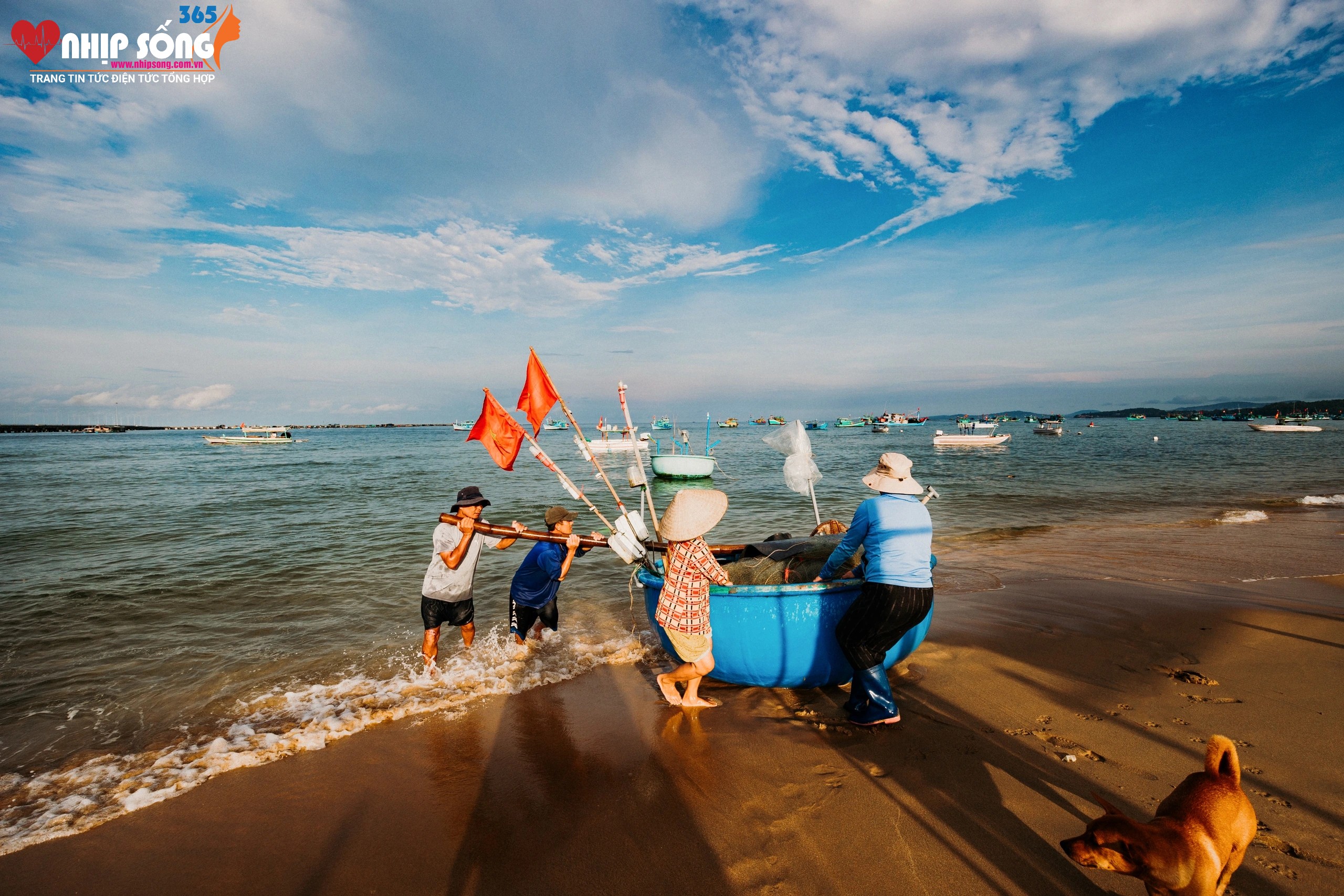 Bình minh lên cũng là lúc các đoàn thuyền thúng kéo nhau trở về làng chài Trần Phú sau một đêm đánh bắt cá trích gần bờ