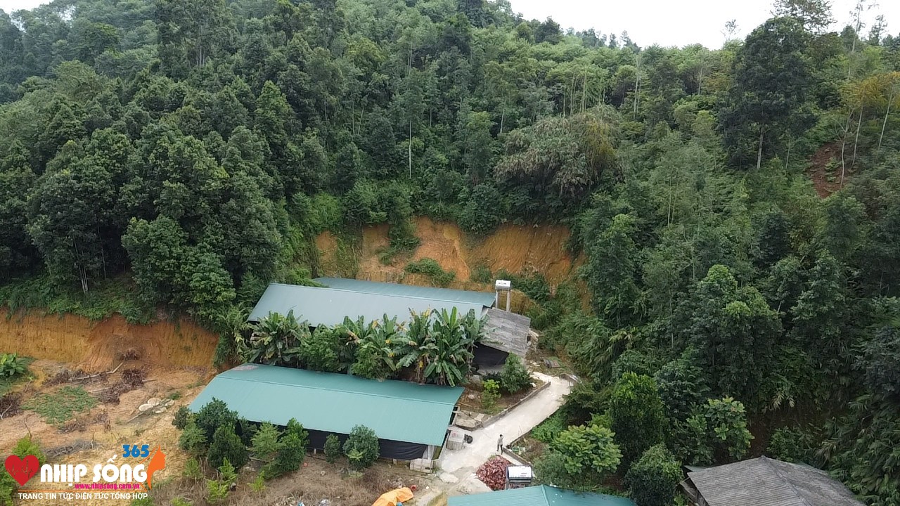 Huyện Bảo Thắng hiện có 118 trang trại đạt tiêu chí của Bộ Nông nghiệp và Phát triển nông thôn (Ảnh Báo Lào Cai).