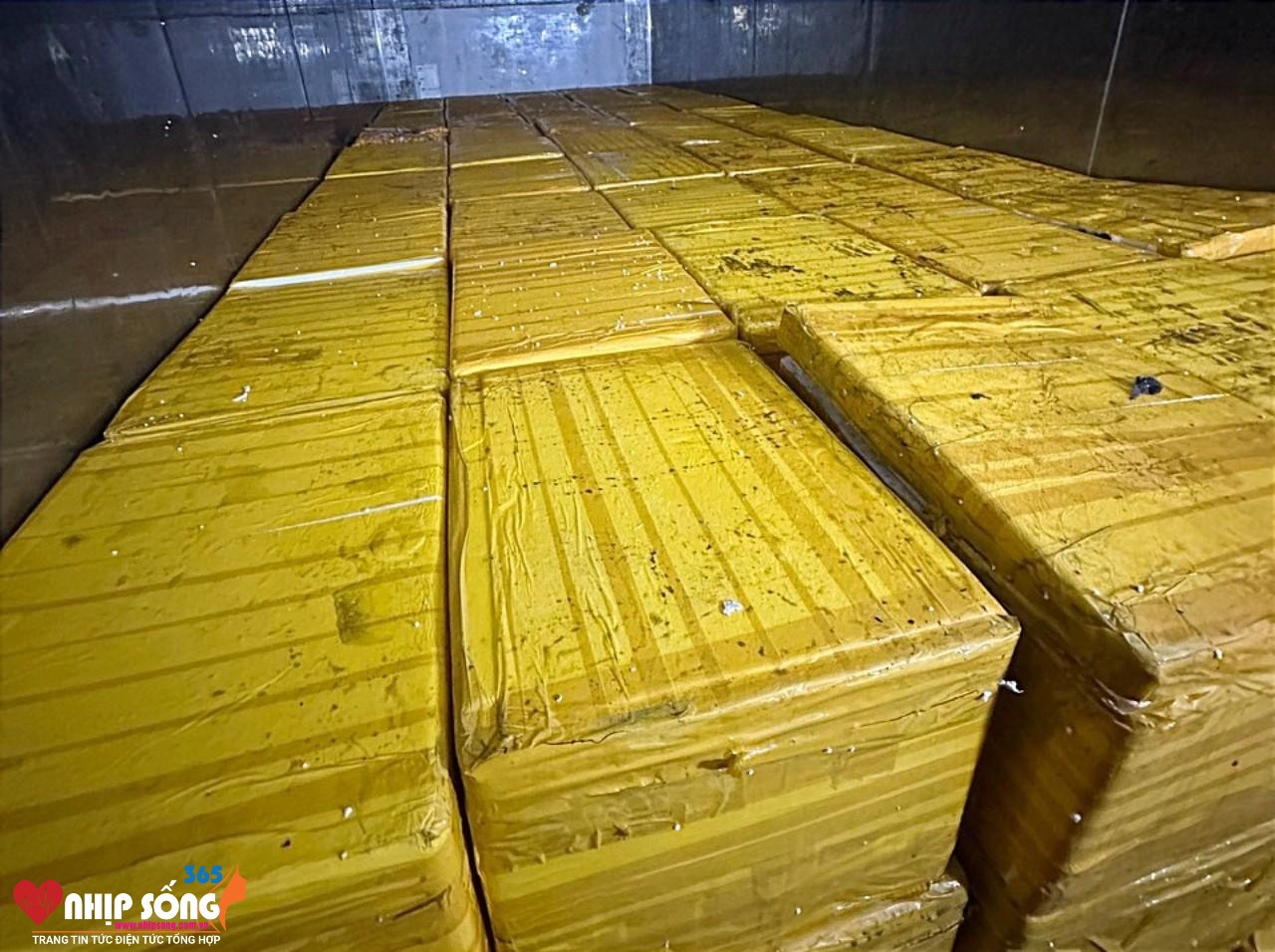 Chi cục Hải quan Cửa khẩu Lào Cai bắt lô hàng trên 8.000 kg trứng gà non đông lạnh nhập lậu (Ảnh Báo Lào Cai).