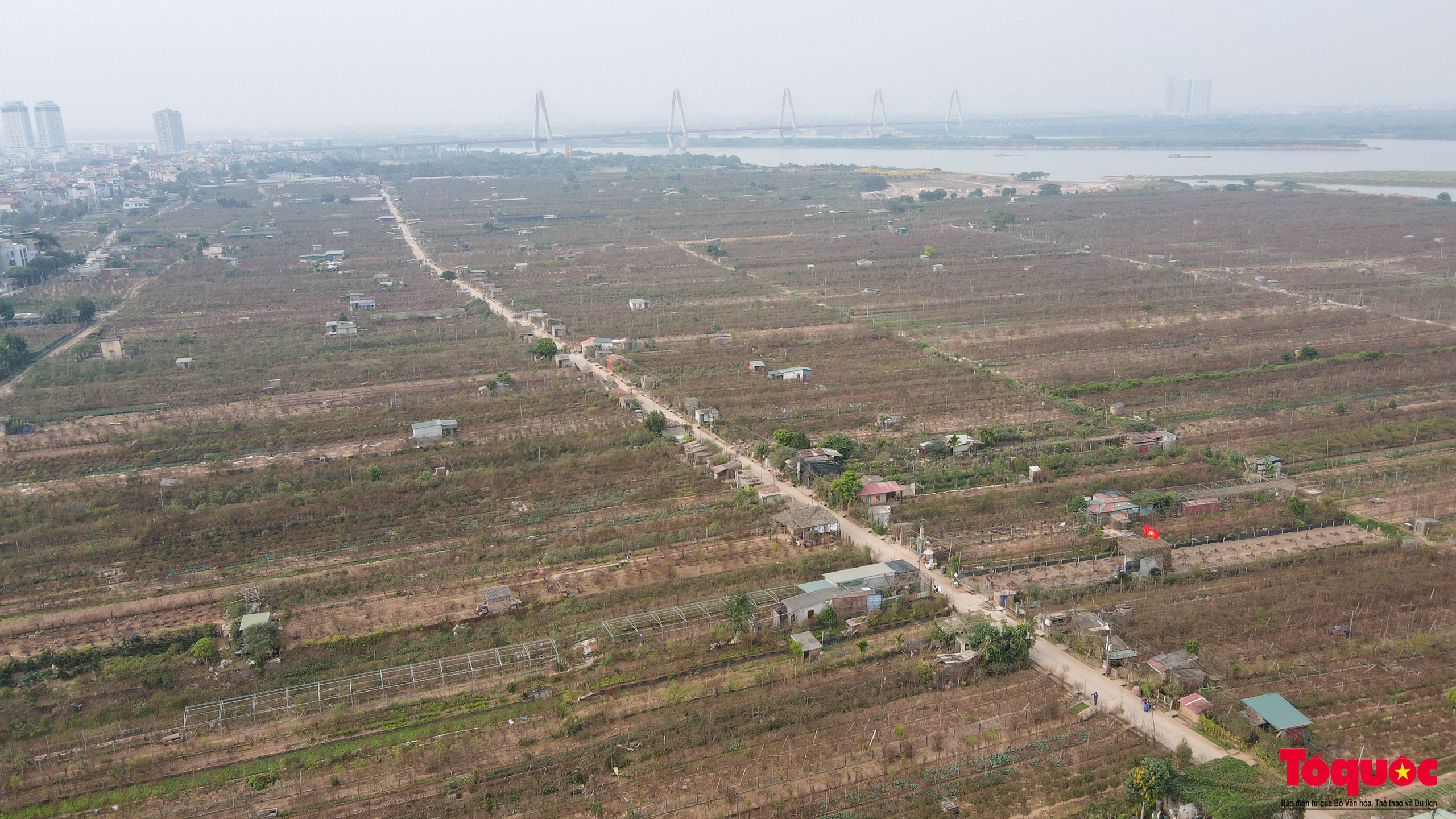 Làng Nhật Tân (quận Tây Hồ, Hà Nội) từ lâu đã nổi tiếng với nghề trồng đào truyền thống, cung cấp hoa cho thị trường khắp cả nước. Với diện tích khoảng 57ha, hơn 700 hộ dân và 1.200 xã viên gắn bó với nghề, năm nay làng đào chịu ảnh hưởng nặng nề từ cơn bão số 3, khiến nhiều diện tích bị hư hại. Để khôi phục, người dân đã tích cực cải tạo đất, tỉa cành và chăm sóc đào, nỗ lực đưa cây kịp phục vụ dịp Tết Nguyên đán.