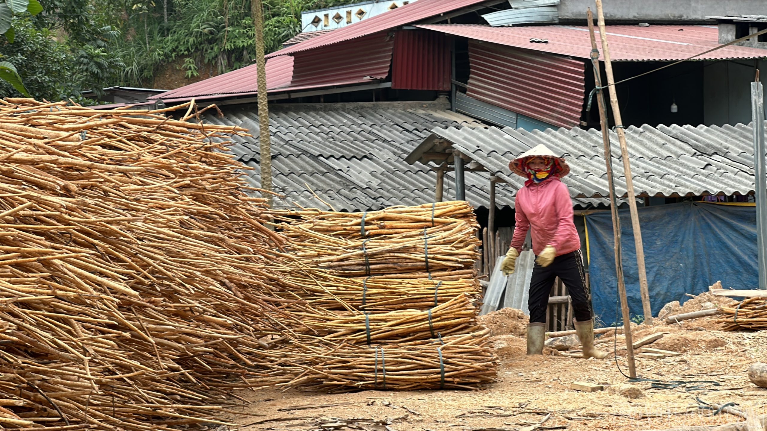 Phụ nữ Nậm Lúc làm chủ kinh tế.