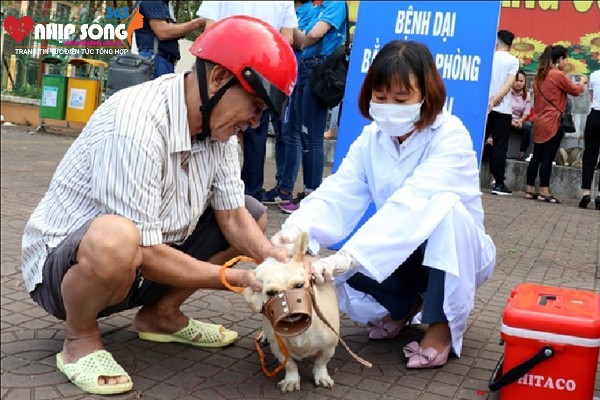 Người dân cần chủ động tiêm phòng dại cho chó, mèo để ngăn chặn lây truyền bệnh dại.