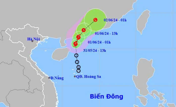 Theo Dõi Và Ứng Phó Kịp Thời