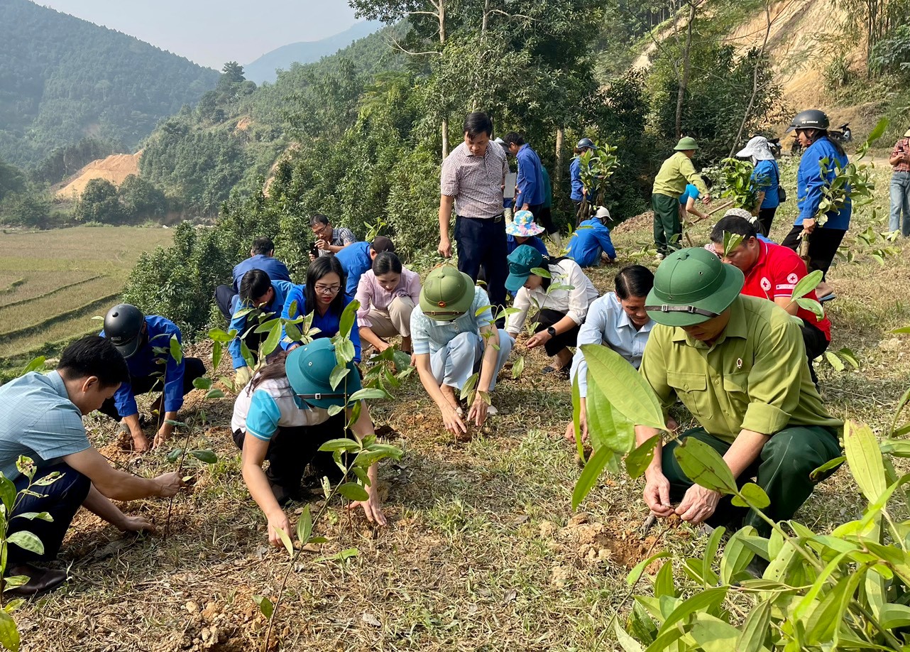 Ra quân hỗ trợ người dân thôn Nậm Lúc Hạ trồng quế.(Báo Lào Cai)