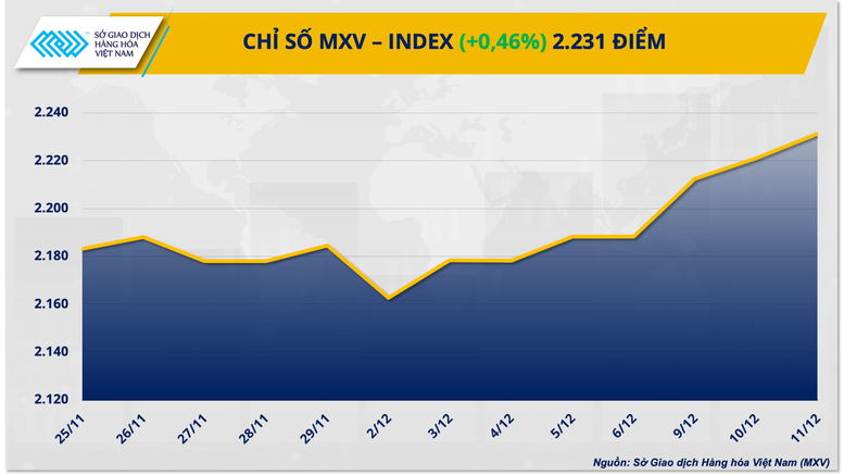 anh 1 chi so mxv index 2 1733966392092332602760