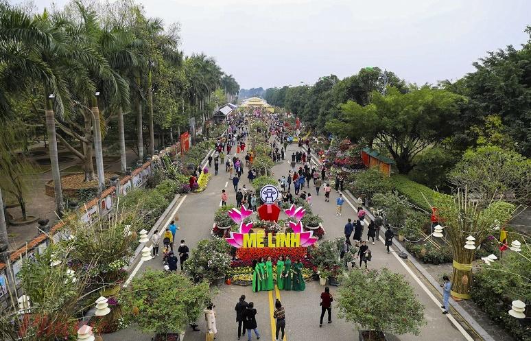 Lễ hội hoa Mê Linh năm nay sẽ có nhiều điểm mới