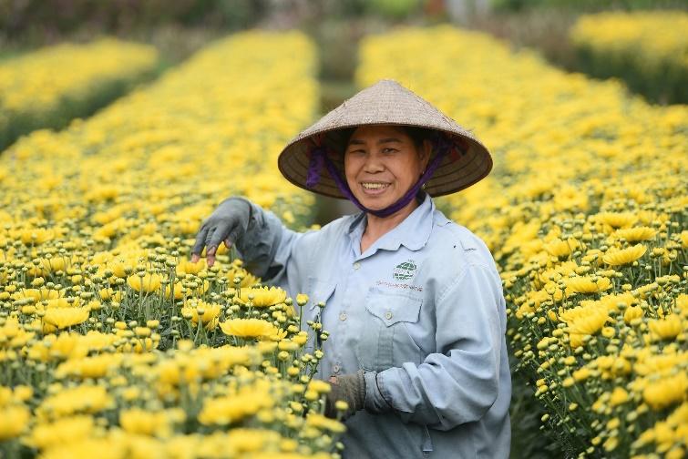 Đây là cơ hội để quảng bá "thủ phủ hoa Hà Nội" đến với du khách trong nước và quốc tế.