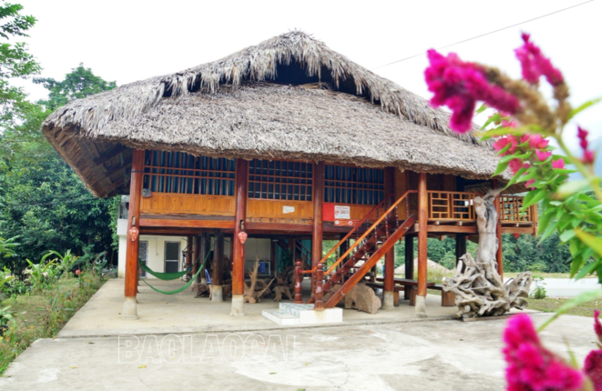 Nhiều người dân đã sửa sang nhà sàn truyền thống thành homestay phục vụ du khách (Ảnh Báo Lào Cai).