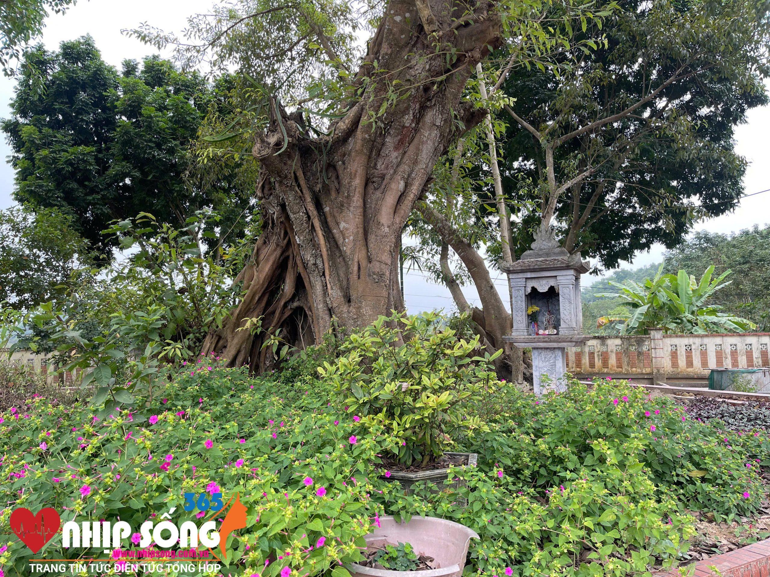 Quang cảnh khu di tích