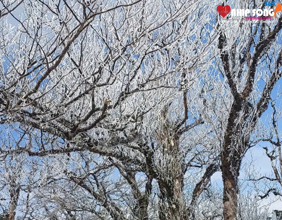 2948 nhiet do tai phia oac nhung ngay qua xuong khoang 0 do c vao dem va rang sang nay 0629 1