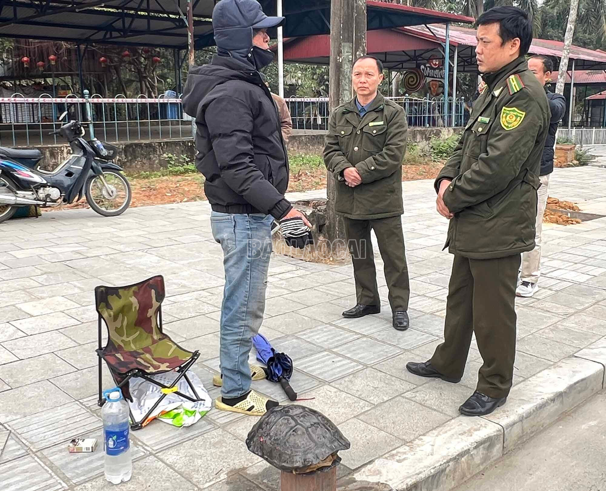 Lực lượng kiểm lâm thành phố Lào Cai tuyên truyền người bán rùa chấp hành nghiêm quy định của pháp luật trong mua, bán, bảo vệ động vật hoang dã (Ảnh Báo Lào Cai)