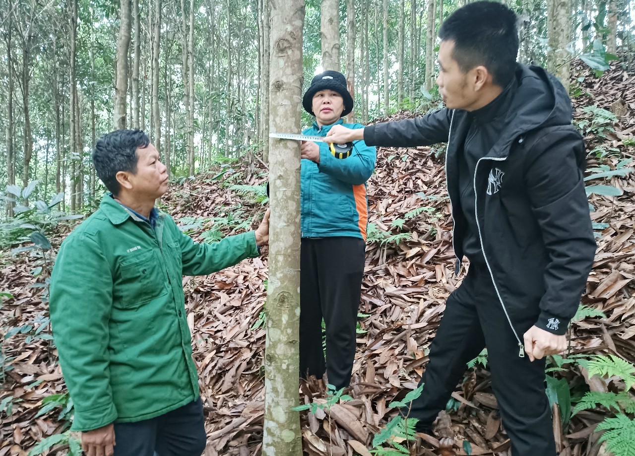 Việc thống kê, kiểm đếm có sự tham gia của các hộ gia đình thuộc diện bị ảnh hưởng. (Ảnh Báo Lào Cai)