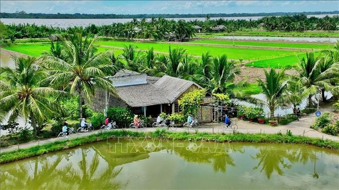 Không gian xanh tại điểm du lịch cộng đồng Cồn Chim (Châu Thành, Trà Vinh). 