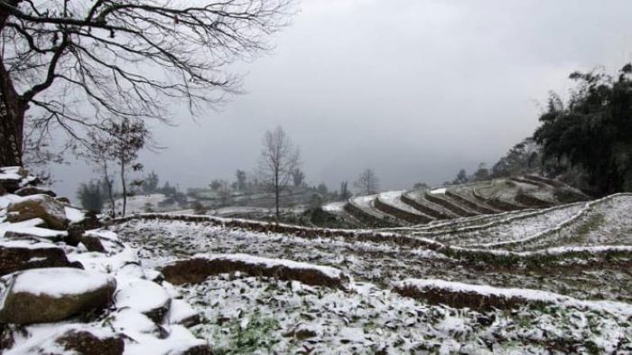 tuyet roi o ha giang 2