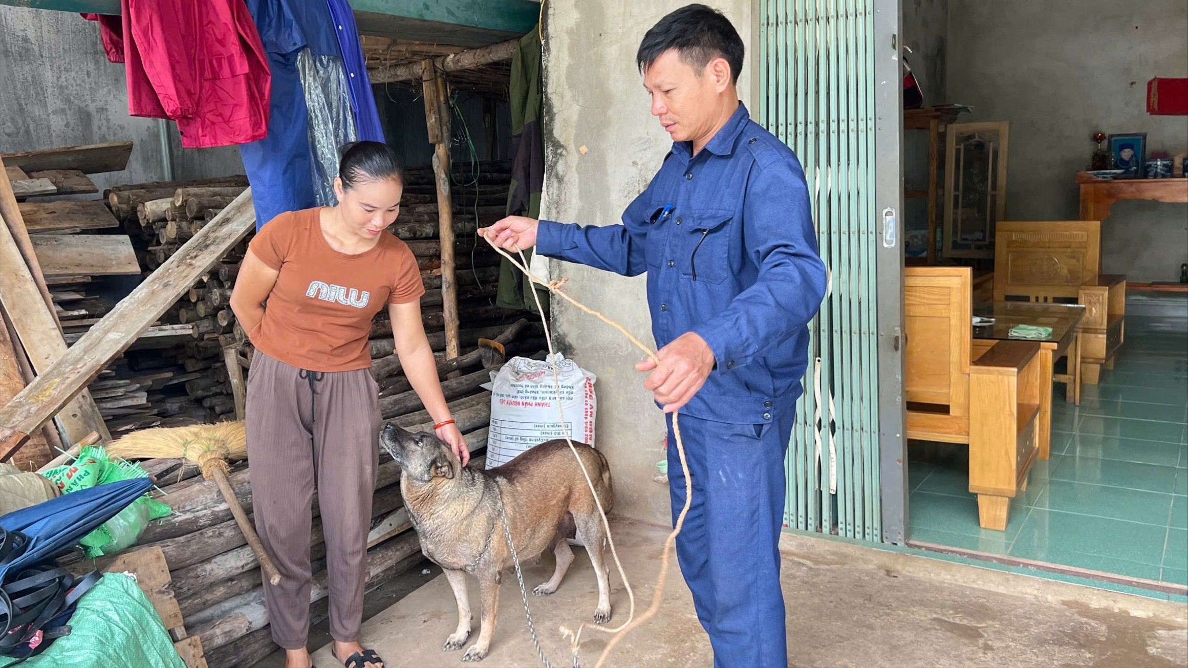 Tăng cường quản lý đàn chó phòng ngừa bệnh dại. (Ảnh Báo Lào Cai)