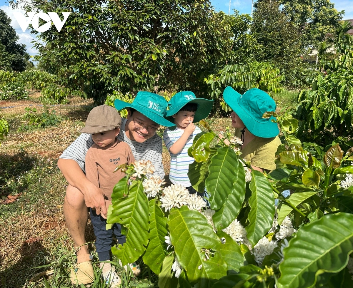 Các em nhỏ cùng gia đình trải nghiệm cà phê trong Rẫy Nhà Si. (Ảnh VOV)