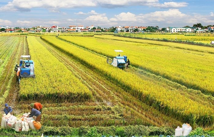 Chương trình MTQG 1719: Bệ đỡ vững chắc giúp đồng bào dân tộc thiểu số an cư, lập nghiệp 4 Mùa vàng ở Trà Vinh (Ảnh minh họa).