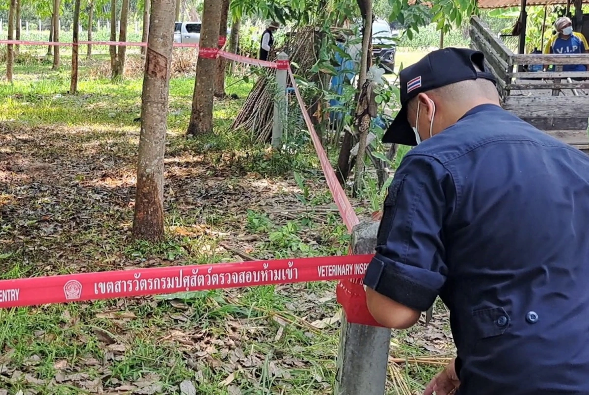 Thái Lan ghi nhận ca tử vong đầu tiên vì bệnh than sau ba thập niên, cảnh báo nguy cơ lây lan 2 Cơ quan chức năng phong tỏa khu vực giết mổ bò tại tỉnh Mukdahan, được cho là nguồn lây nhiễm bệnh.