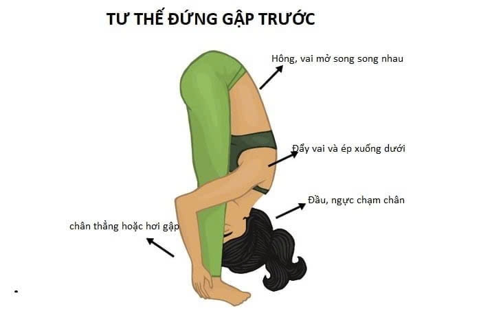 Cách tập luyện giúp sĩ tử khỏe mạnh trong mùa thi 3 Đứng cúi gập người về phía trước lưu thông máu não