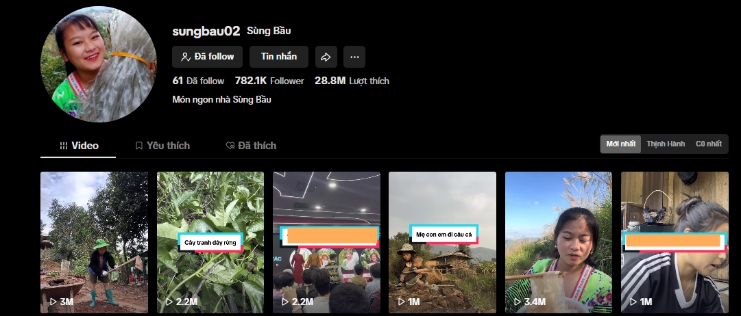 Song, hiện tại những điều trên đều "bay màu" trên kênh TikTok của cô.