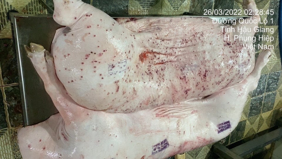 Tai khoan mang xa hoi co ten