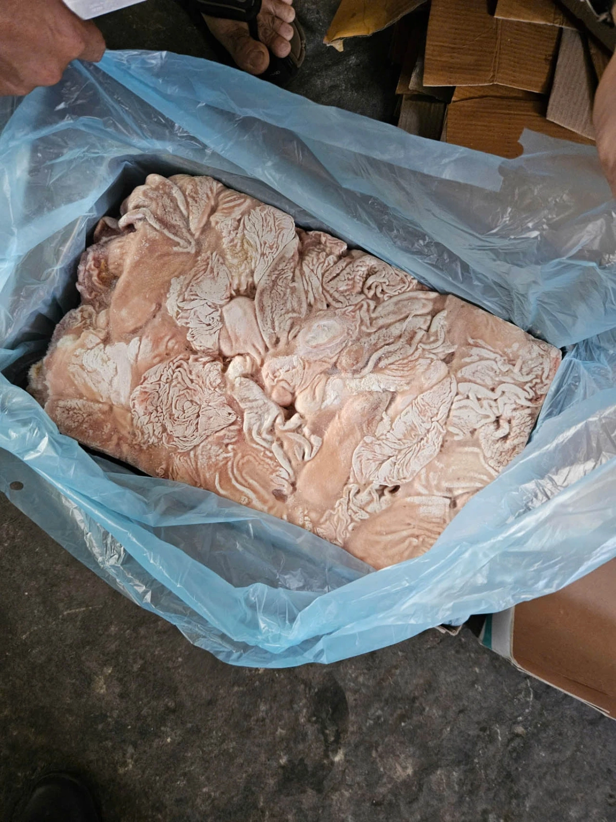 Kiên Giang: Phát hiện và thu giữ hơn 1 tấn bao tử lợn không nhãn mác, chưa xác định nguồn gốc 1 Bao tử lợn không rõ nguồn gốc, xuất xứ
