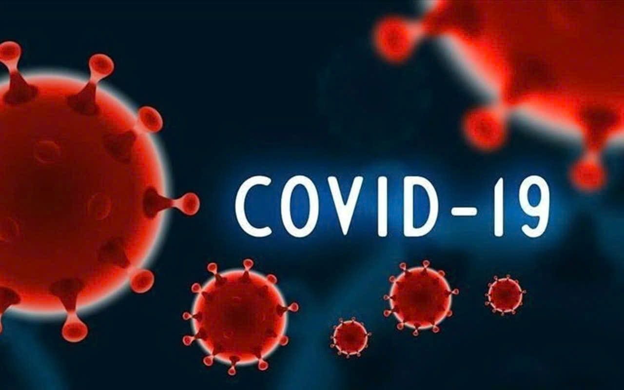 covid 848586