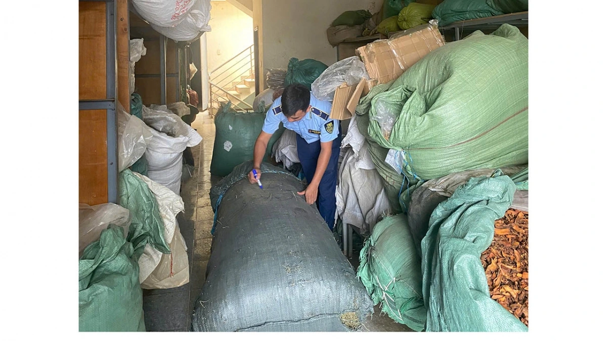 hon 500 kilogam duoc lieu khong ro nguon goc xuat xu 456676