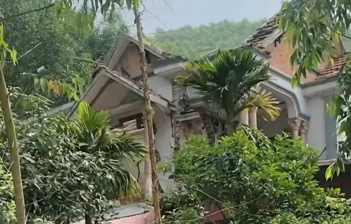 tn 10550529
