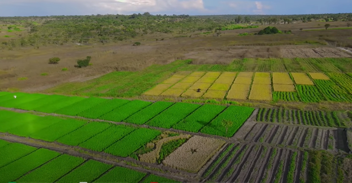 Thực hư chuyện trang trại của Quang Linh Vlogs ở Angola chỉ là phim trường 3 Cảnh trang trại nhìn từ trên cao được Linh Philip đăng tải từ 3 tuần trước.