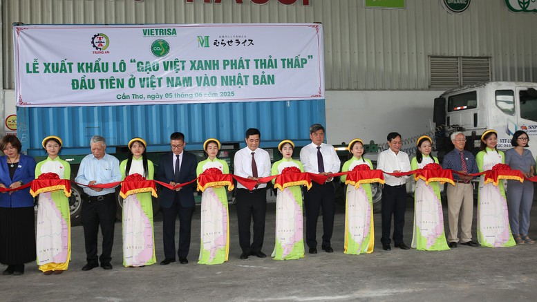 Cat bang xuat khau lo hang gao nhan hieu