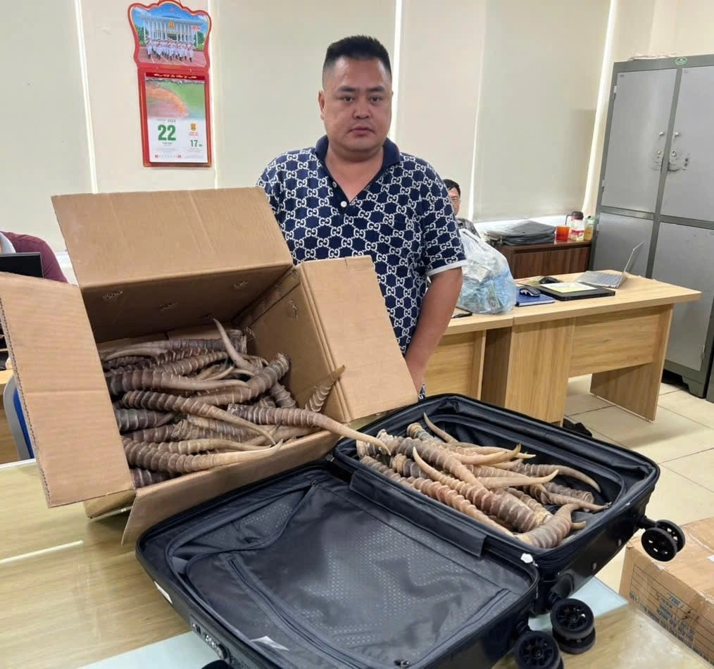 Hai đối tượng buôn bán trái phép hơn 100kg sừng linh dương bị tuyên án tù giam. 2 Dương Minh Tâm và tang vật