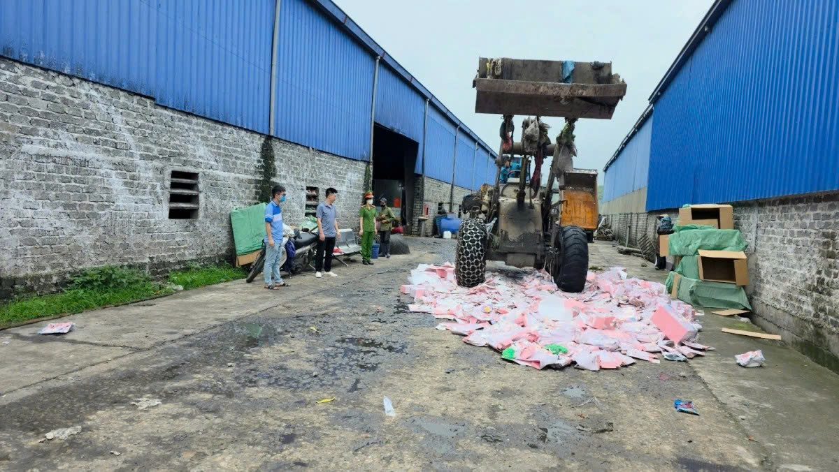 tieu huy baby tree 74576767